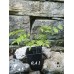 Японска вистерия / Wisteria floribunda Японска вистерия / Wisteria floribunda